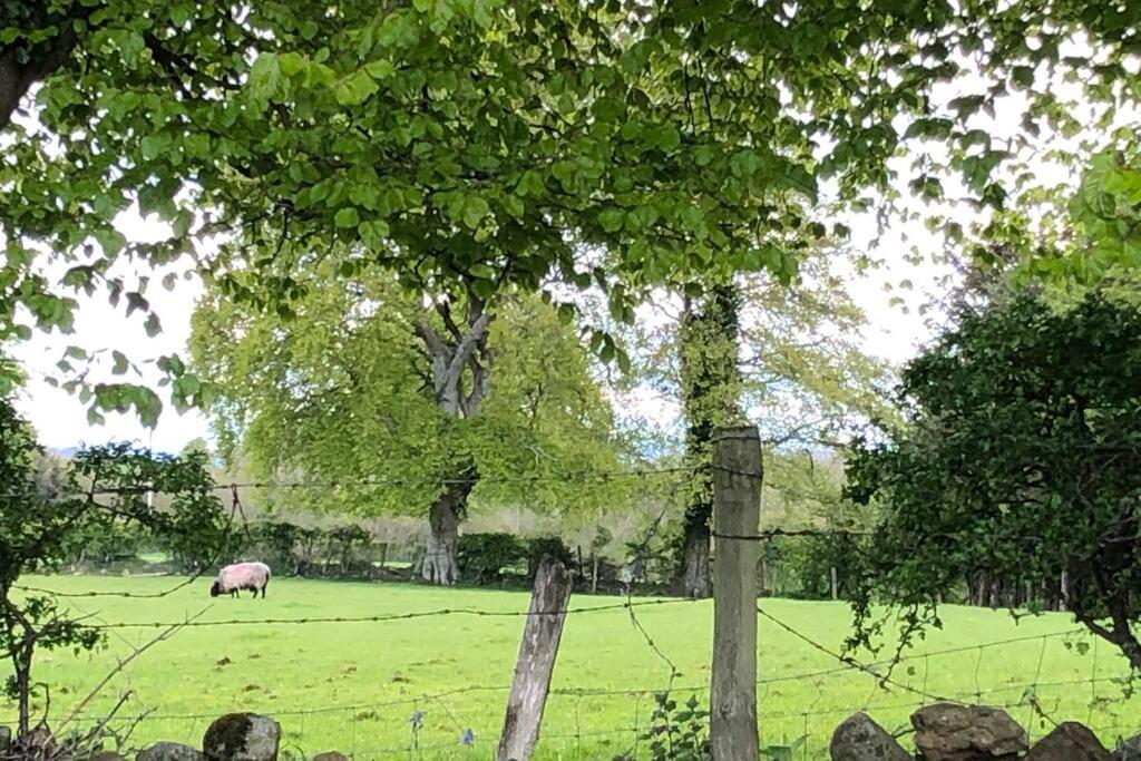 Ballyheifer House - A Beautiful 5 Bedroom Home. マラフェルト エクステリア 写真
